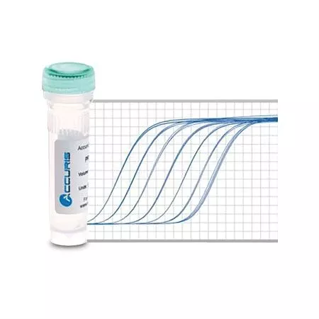 Accuris qMax Green No Rox qPCR Mix 1000 reactions