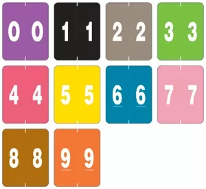 Afv Compatible Color Code Label Numeric 1 1/2" X 1 7/8" Assorted Colors Mylar Permanent - 500 Per Roll, 10 Rolls Per Set