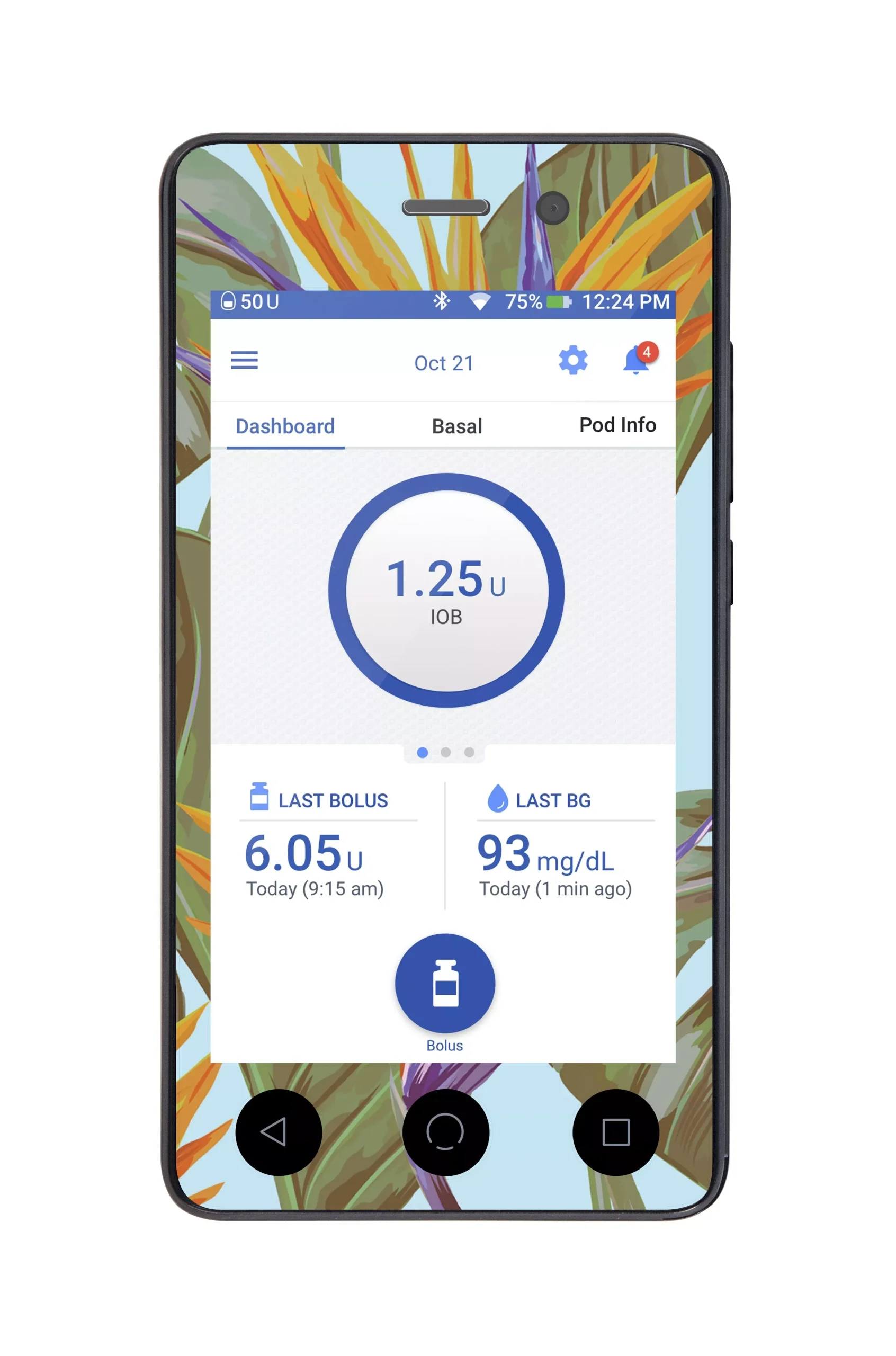 Birds of Paradise Sticker for Omnipod DASH PDM – Pump Peelz
