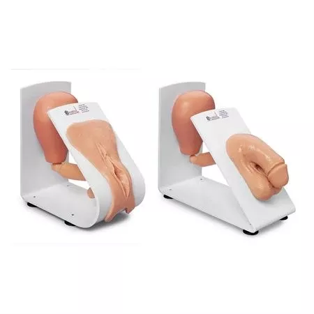 Catheterization Training Model Male and Female Set