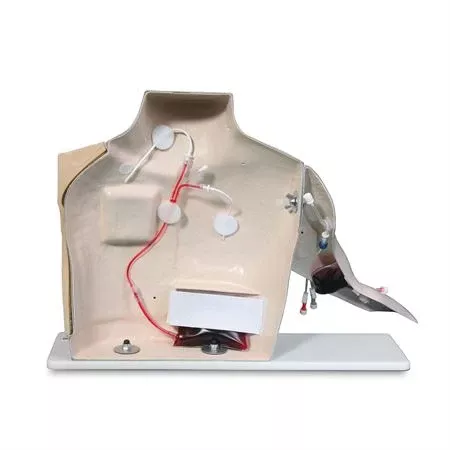 Chester-Chest-Skills-Trainer-Advanced Chester Chest Skills Trainer