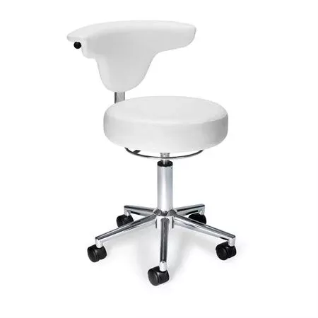 Ergonomic Anatomy Chair