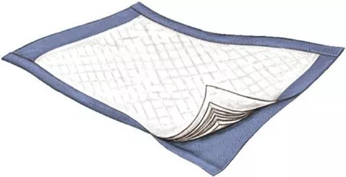 Griffin Care Passport Disposable Underpad, Light Absorbency