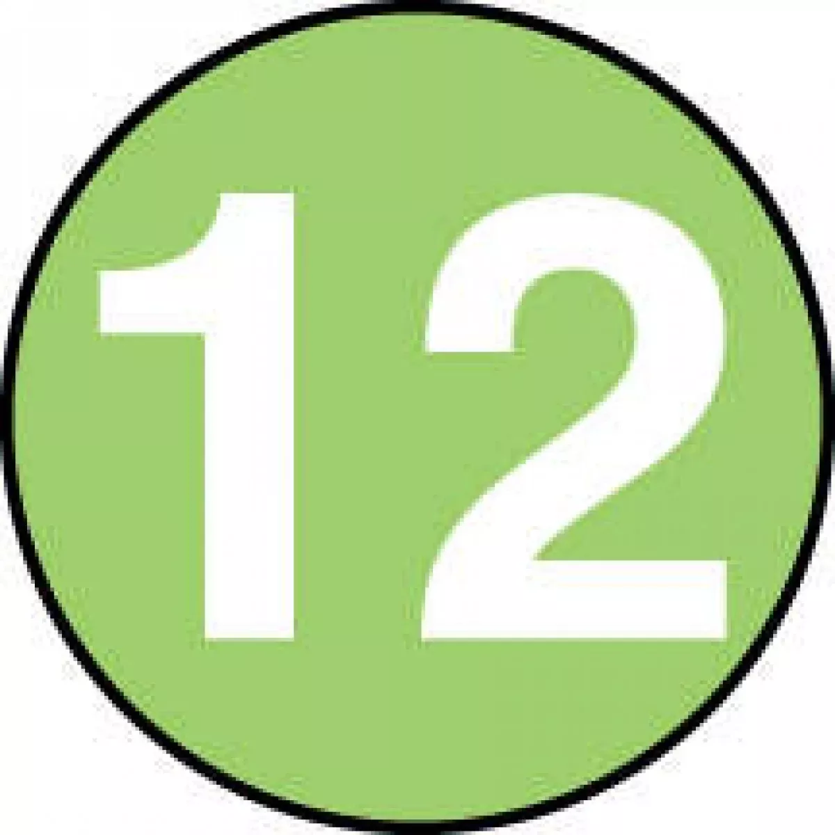 Label Paper Permanent 12 Light Green 1000 Per Roll