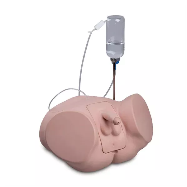 PRO Catheterization Simulators Female ,1 Each