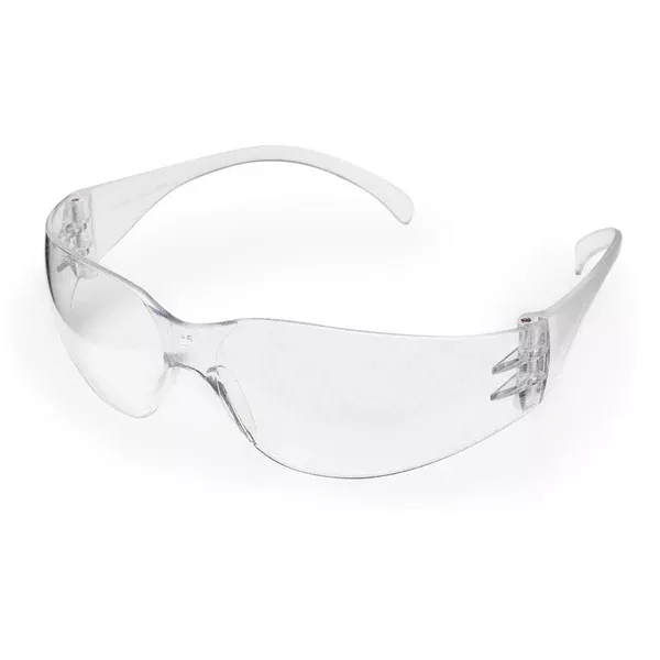 Standard Intruder Economy Safety Glasses Standard ,1 Each
