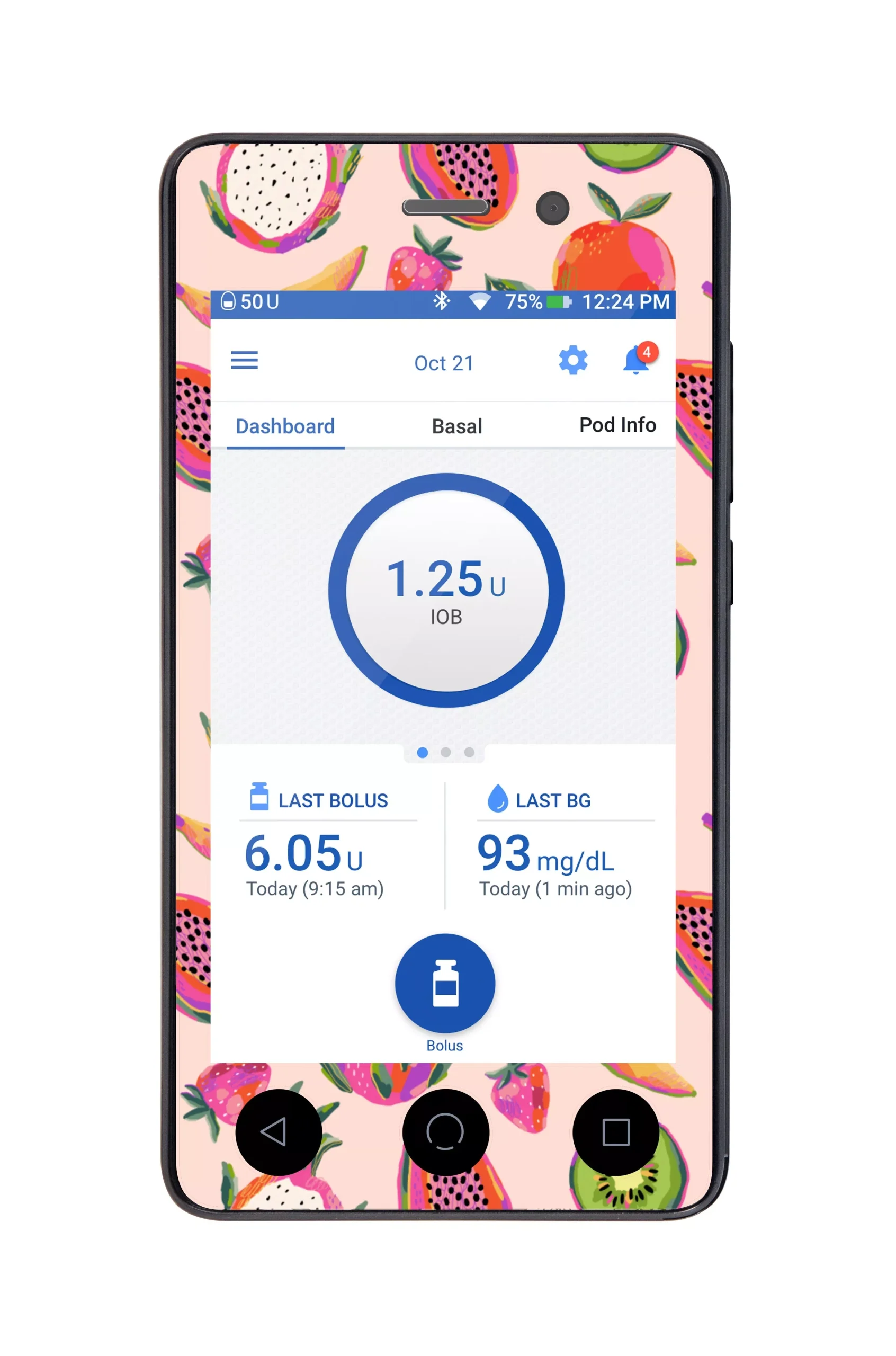Summer Fruits Sticker for Omnipod DASH PDM – Pump Peelz