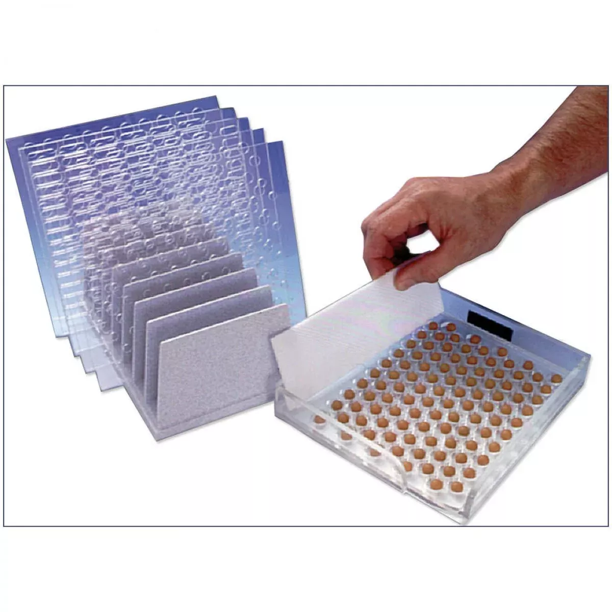 Tablet Capsule Counter Plastic Eight Different Blades (Four Round & Four Oblong) Block Plates Holder Organizer - 1 Each