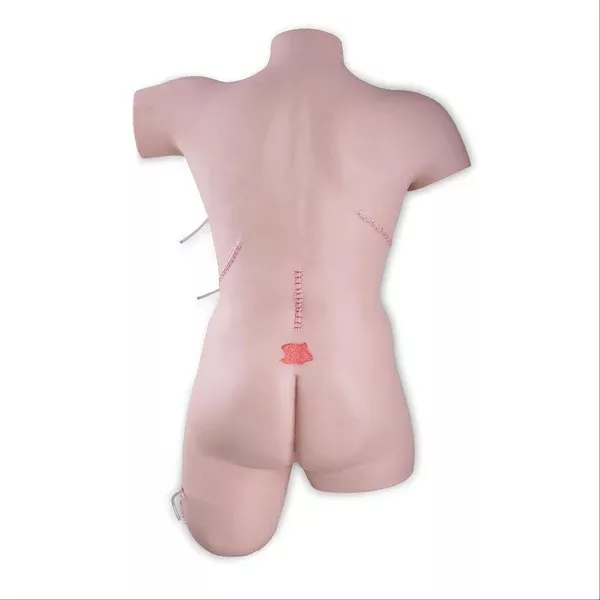 Wound Care Bandage Technique Trainer Wound Care and Bandaging Technique Trainer ,1 Each