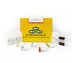 Zymo-Seq RRBS Library Kit (48 preps)Zymo D5461